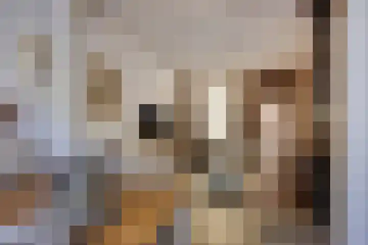 Delfgauwseweg 49 Delft thumbnail 5