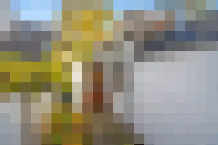 Delfgauwseweg 61 Delft thumbnail 5