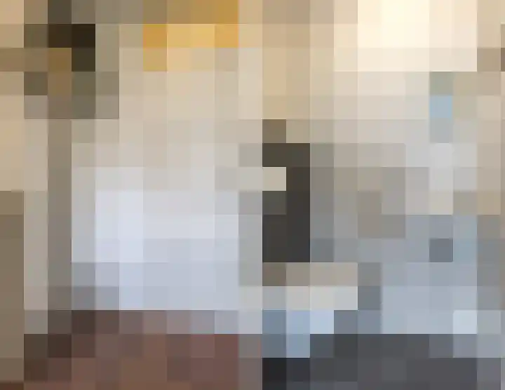 Delfgauwstraat 22 Tilburg thumbnail 13
