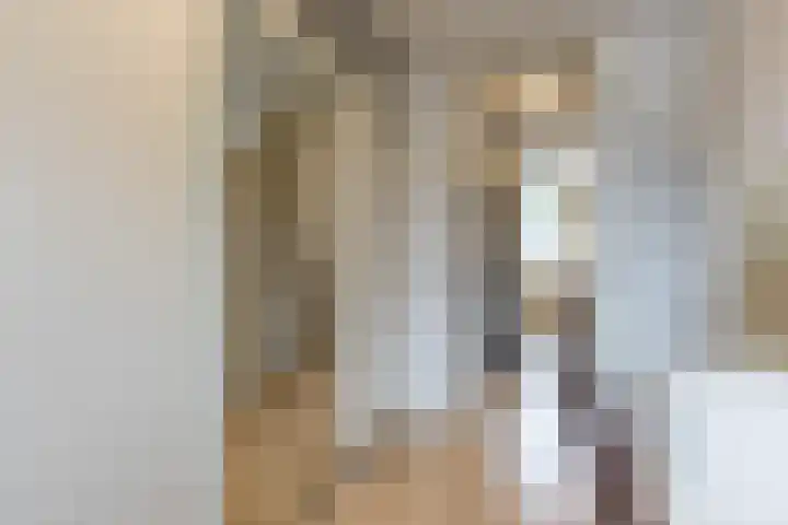 Delfgauwstraat 22 Tilburg thumbnail 17