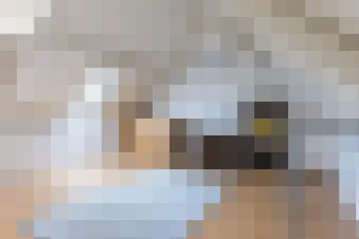 Delfgauwstraat 22 Tilburg thumbnail 22