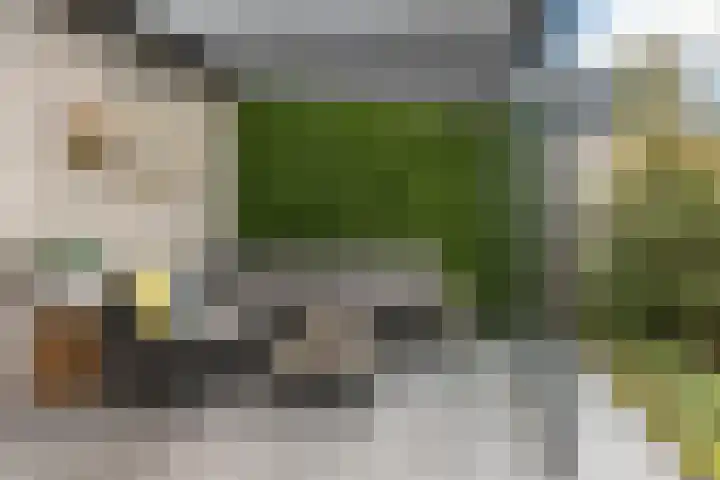 Delfgauwstraat 22 Tilburg thumbnail 25