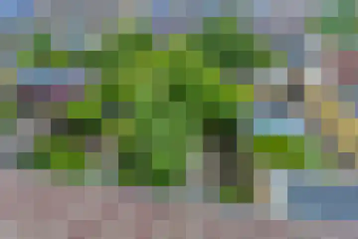 Delfland 6 Roelofarendsveen thumbnail 15
