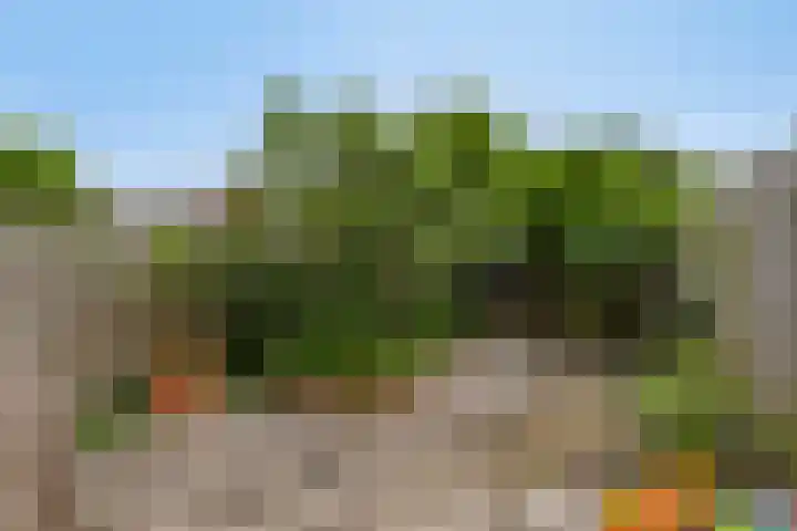 Delfland 6 Roelofarendsveen thumbnail 16