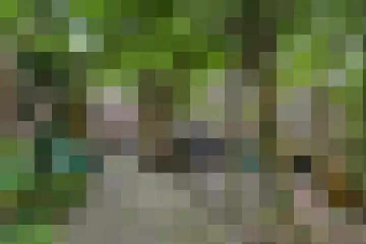 Delfland 6 Roelofarendsveen thumbnail 17