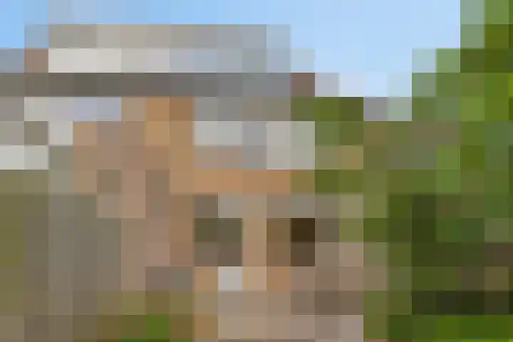 Delfland 6 Roelofarendsveen thumbnail 18