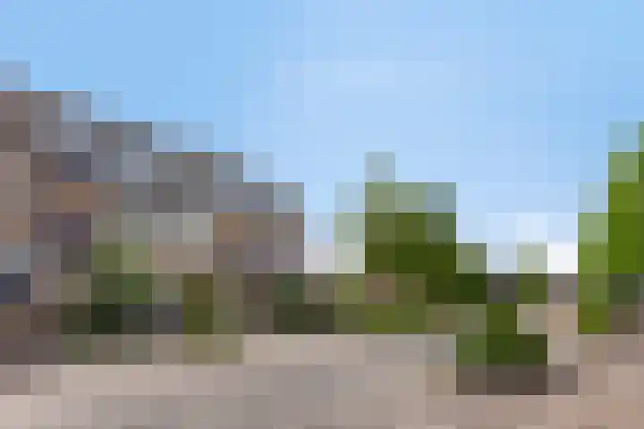 Delfland 6 Roelofarendsveen thumbnail 19