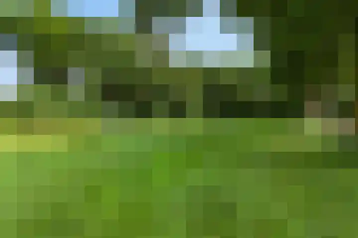Delfland 6 Roelofarendsveen thumbnail 20