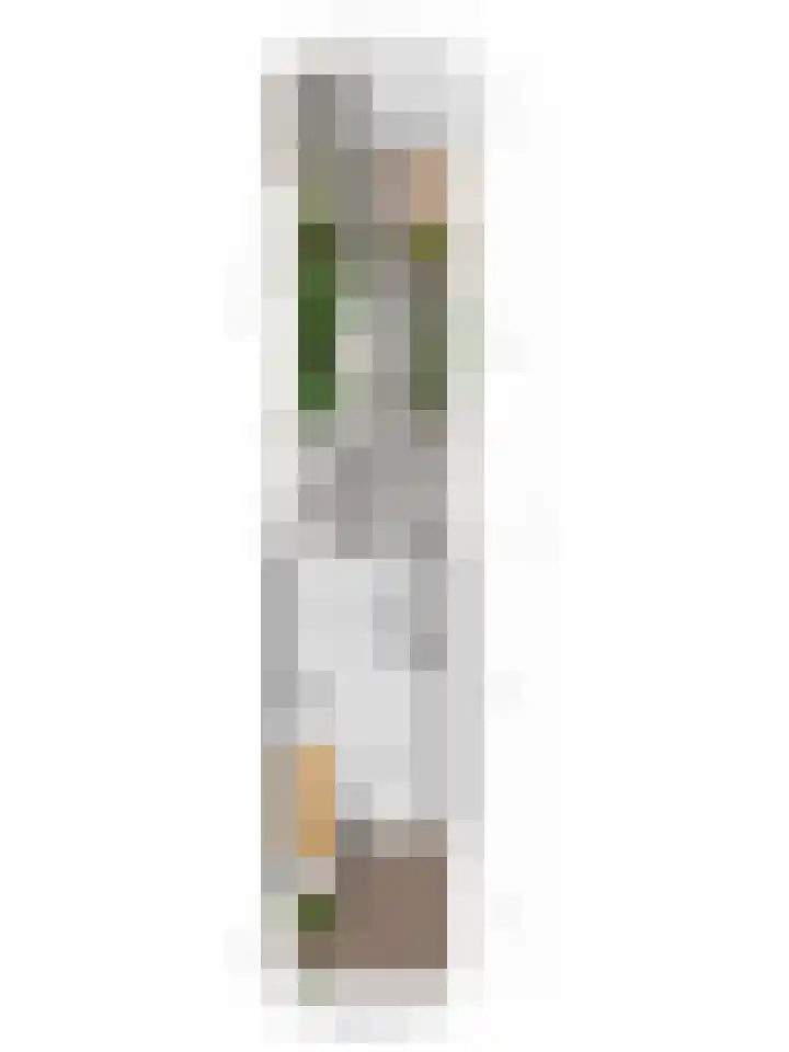 Delfland 6 Roelofarendsveen thumbnail 24