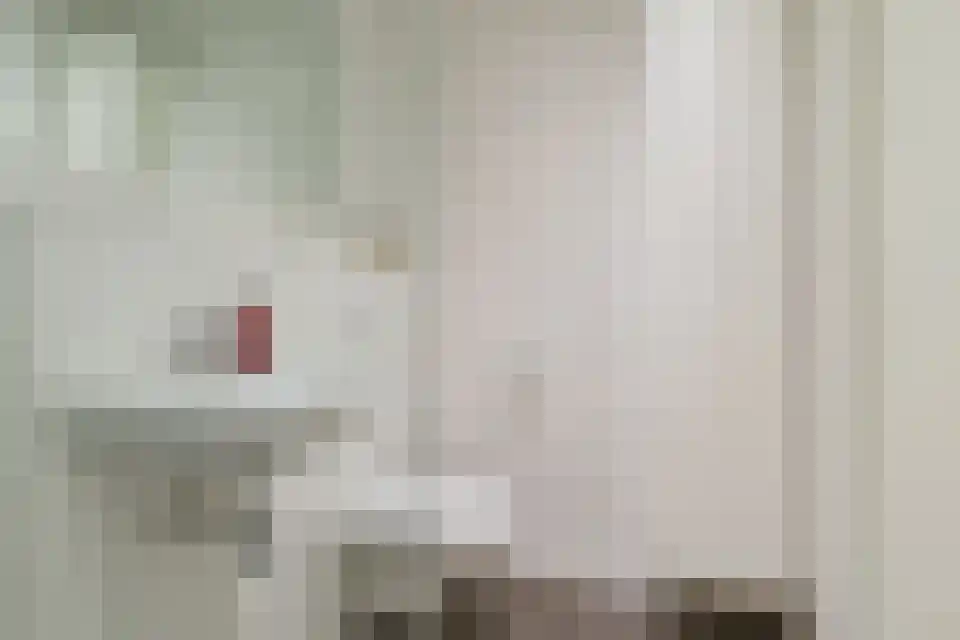 Delflandlaan 2 Amsterdam thumbnail 5