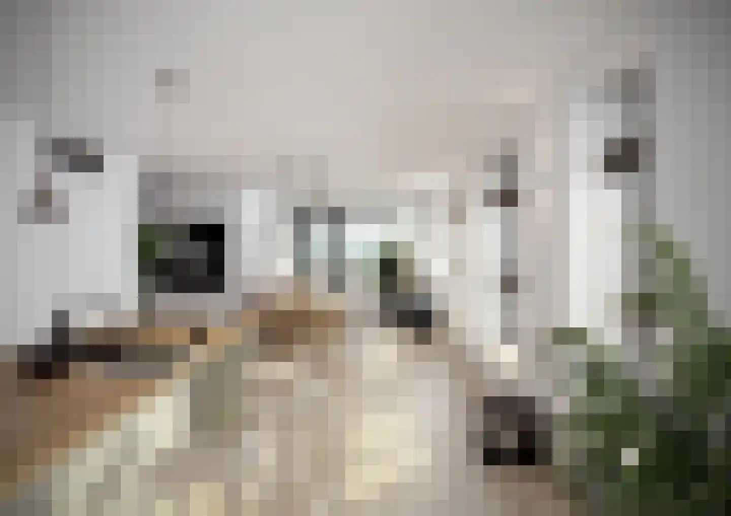 Delflandplein 121 Amsterdam thumbnail 6