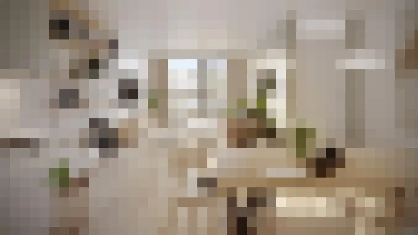 Delflandplein 121 Amsterdam thumbnail 8