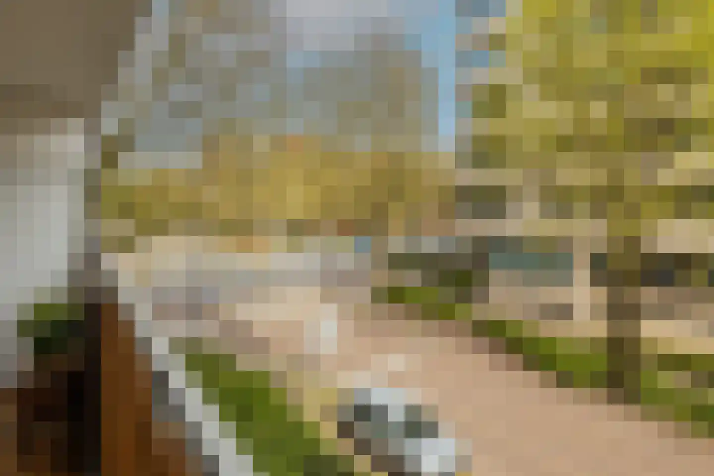 Delflandseweg 235 Schiedam thumbnail 26