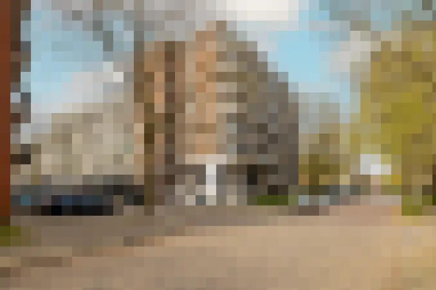 Delflandseweg 235 Schiedam thumbnail 6