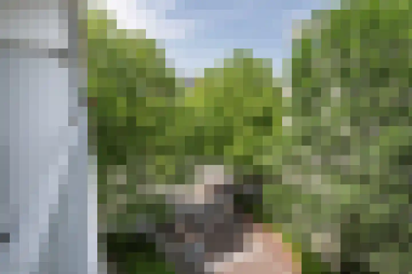 Delflandseweg 269 Schiedam thumbnail 17