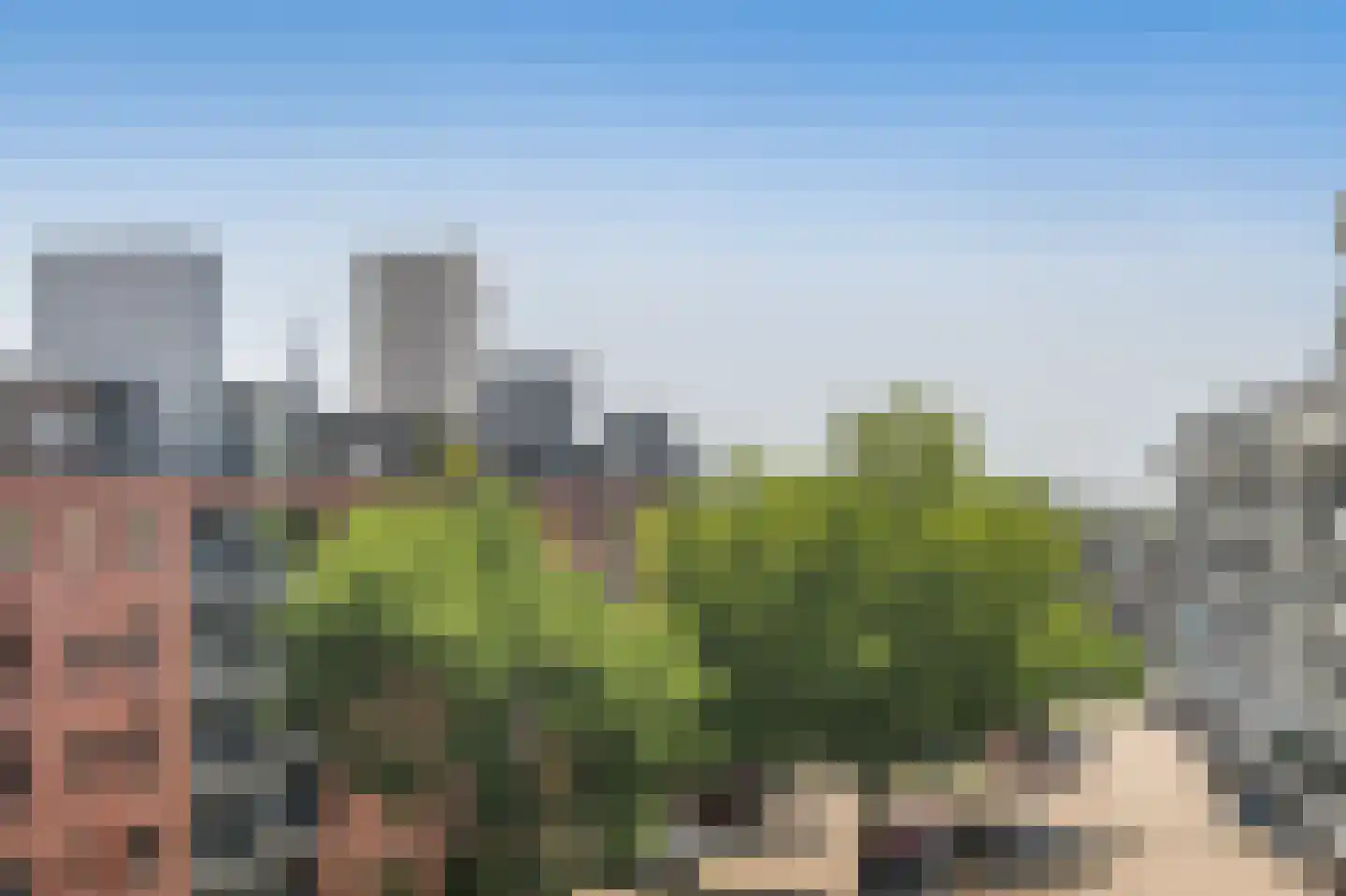 Delflandseweg 269 Schiedam thumbnail 18