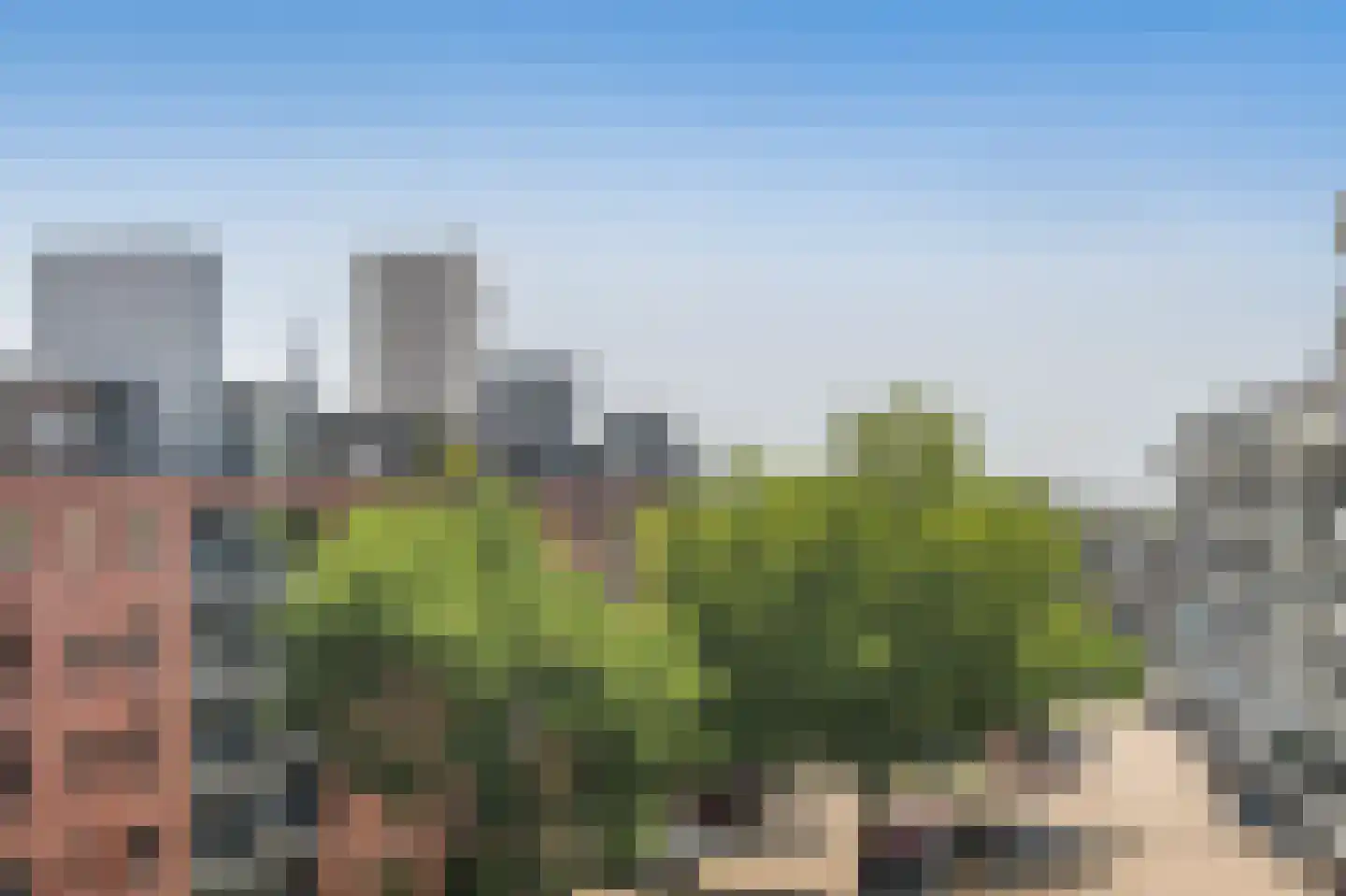 Delflandseweg 269 Schiedam thumbnail 18