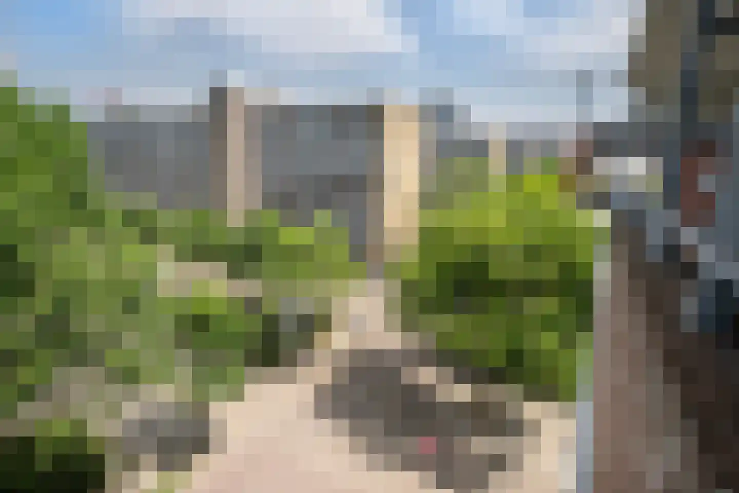 Delflandseweg 269 Schiedam thumbnail 19