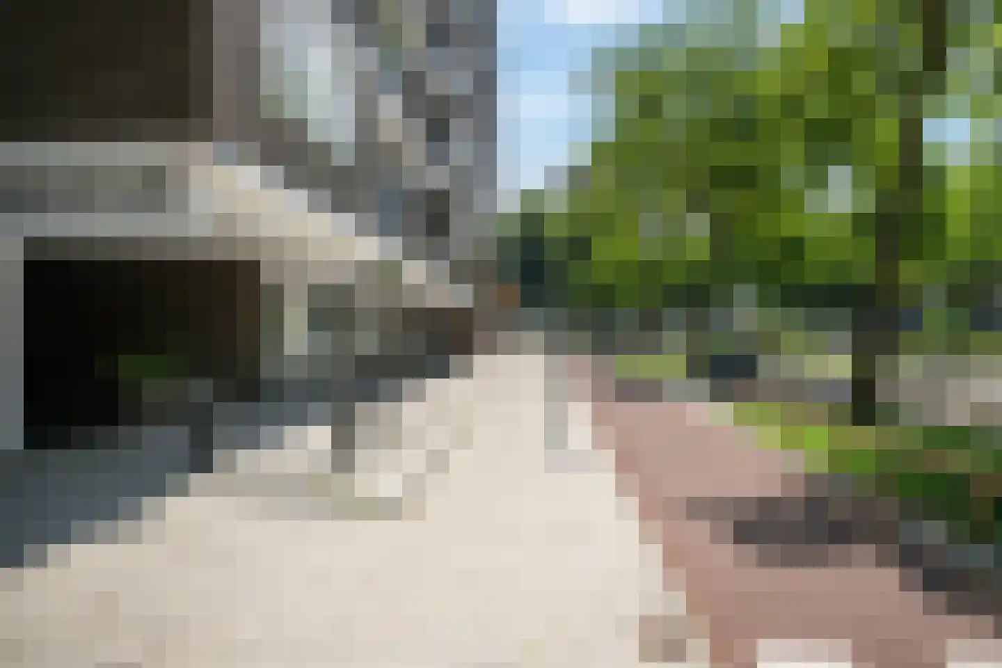 Delflandseweg 269 Schiedam thumbnail 5