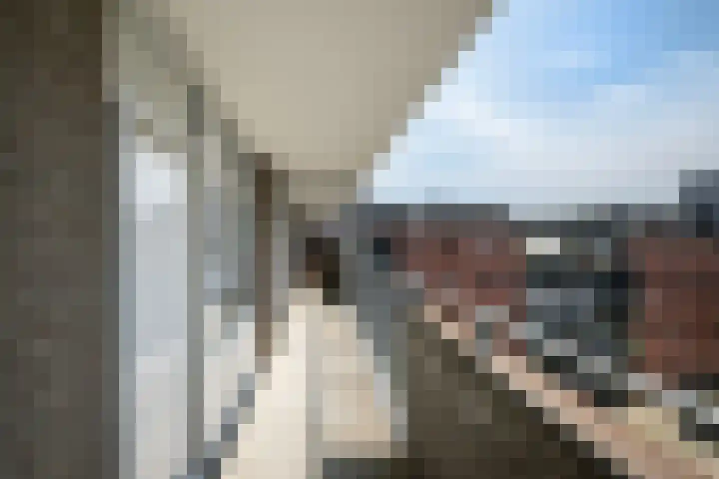 Delflandseweg 269 Schiedam thumbnail 7