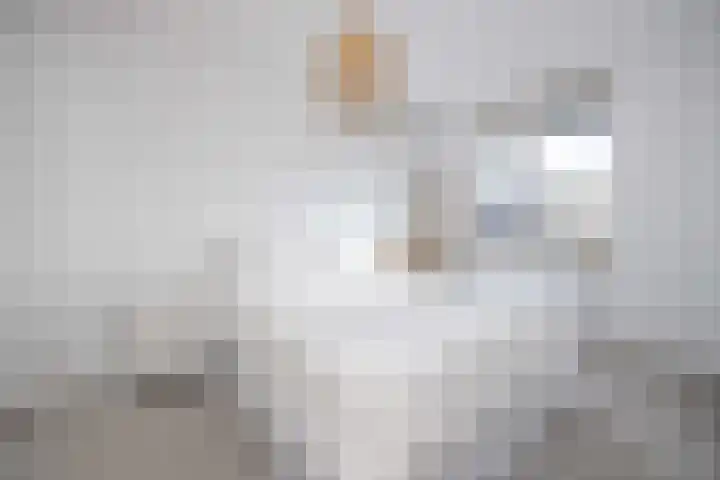 Delflandstraat 1 Tilburg thumbnail 15