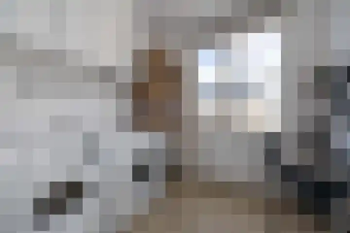 Delflandstraat 1 Tilburg thumbnail 22