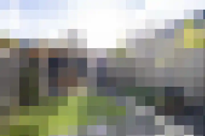 Delflandstraat 1 Tilburg thumbnail 24