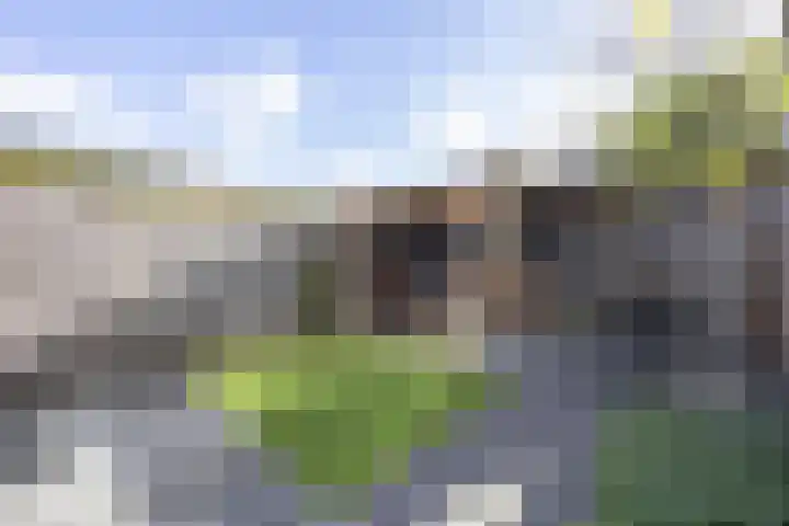 Delflandstraat 1 Tilburg thumbnail 25