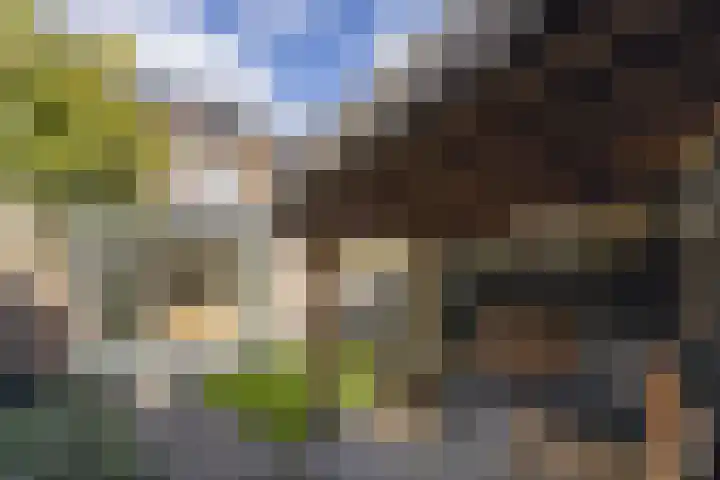 Delflandstraat 1 Tilburg thumbnail 26