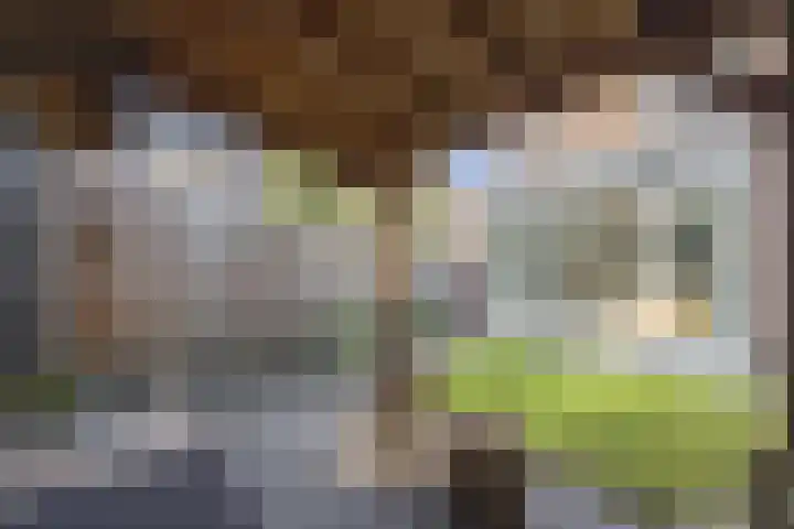 Delflandstraat 1 Tilburg thumbnail 28