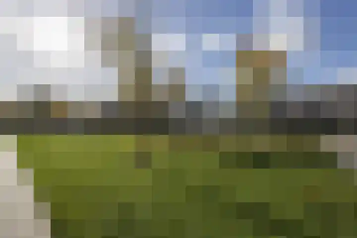 Delflandstraat 1 Tilburg thumbnail 29