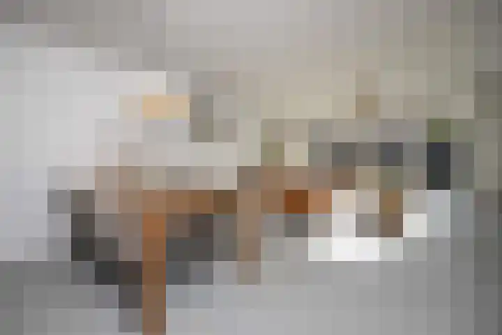 Delflandstraat 1 Tilburg thumbnail 4