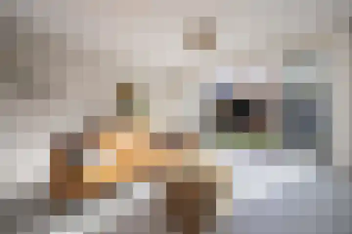 Delflandstraat 1 Tilburg thumbnail 6