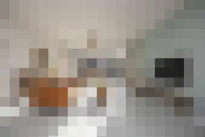 Delflandstraat 1 Tilburg thumbnail 7