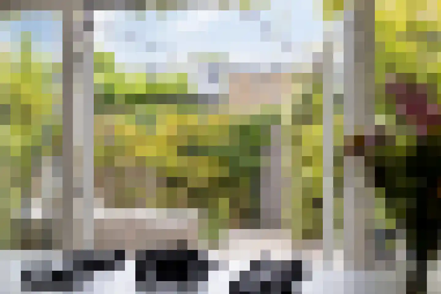 Delflandstraat 13 Tilburg thumbnail 11
