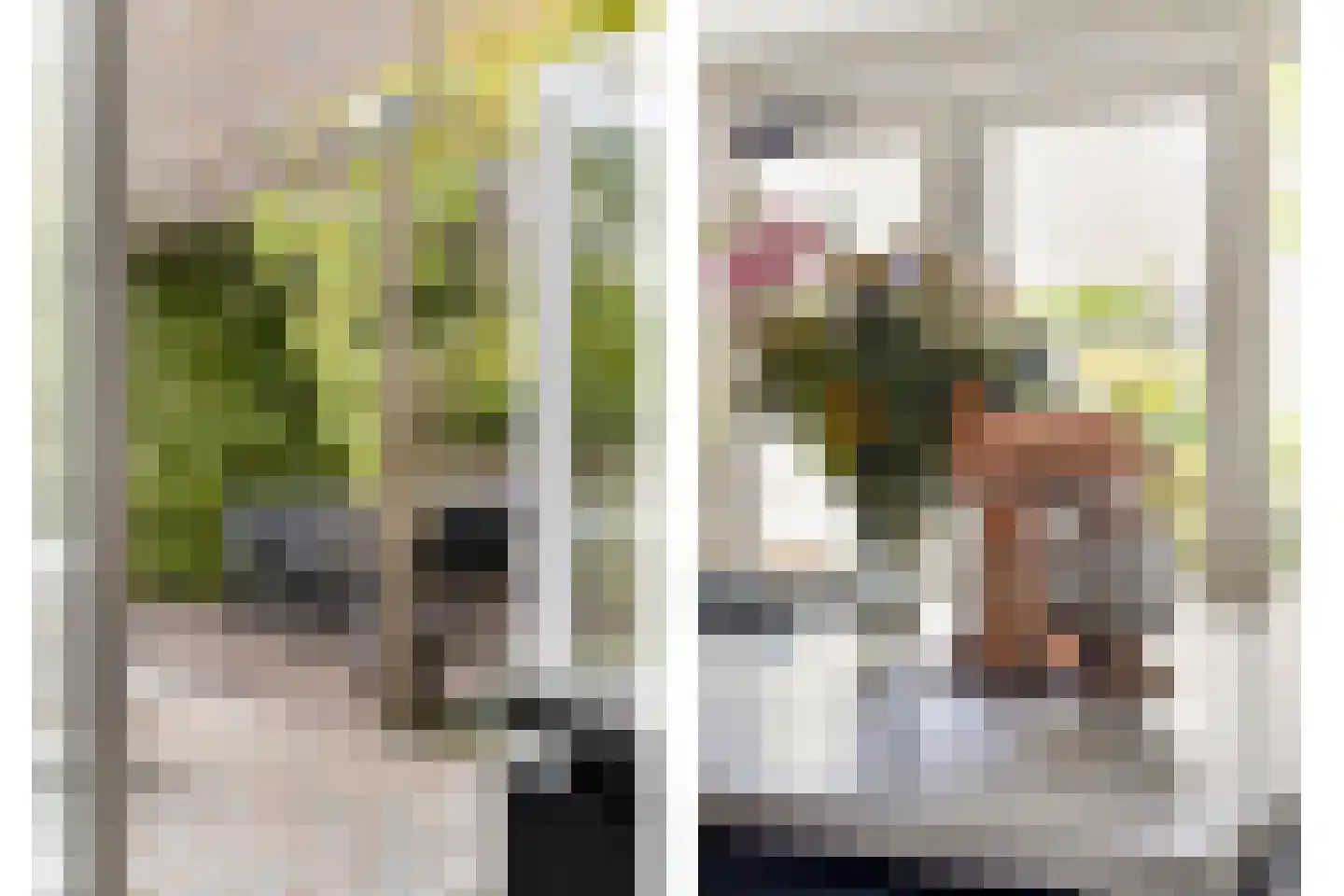 Delflandstraat 13 Tilburg thumbnail 39