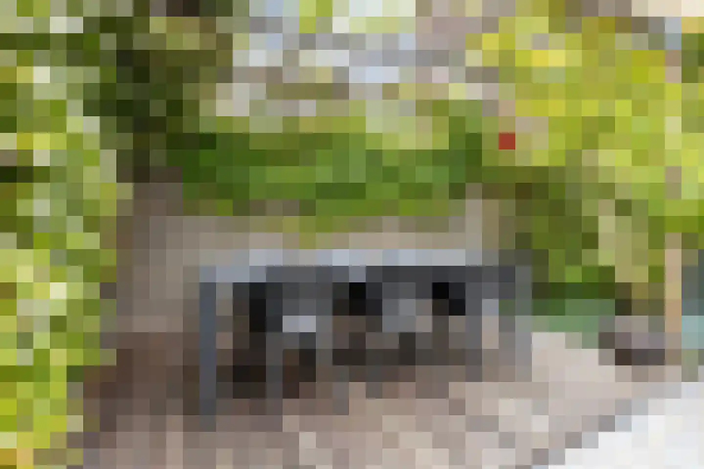 Delflandstraat 13 Tilburg thumbnail 41