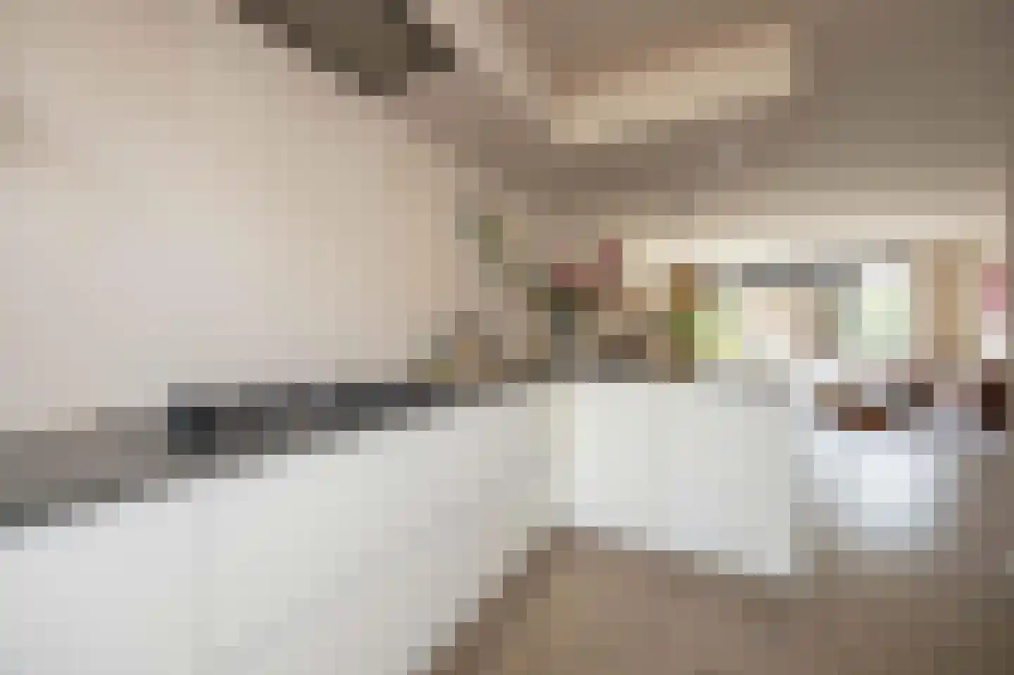 Delflandstraat 3 Tilburg thumbnail 11