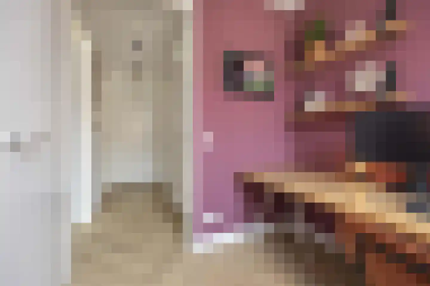 Delflandstraat 3 Tilburg thumbnail 18