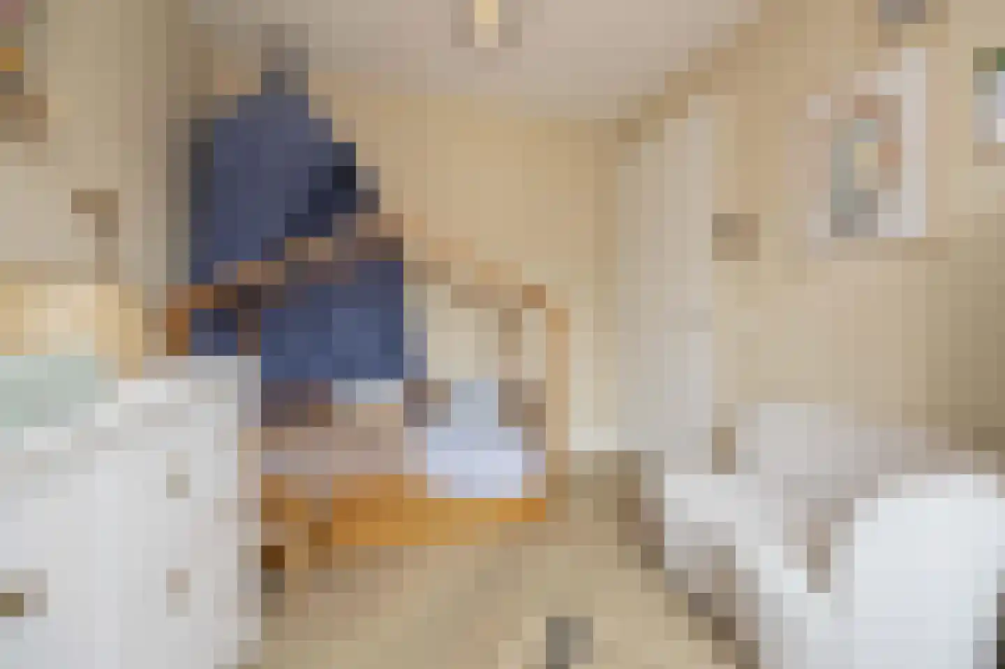 Delflandstraat 3 Tilburg thumbnail 20