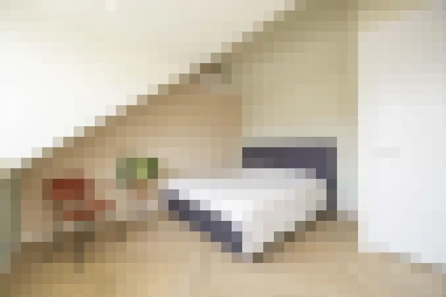 Delflandstraat 3 Tilburg thumbnail 23
