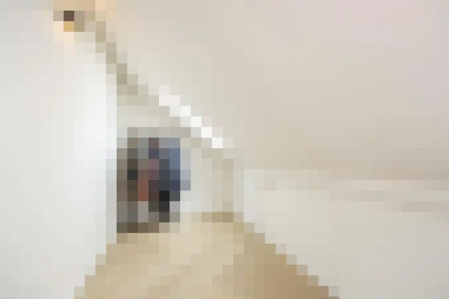 Delflandstraat 3 Tilburg thumbnail 26
