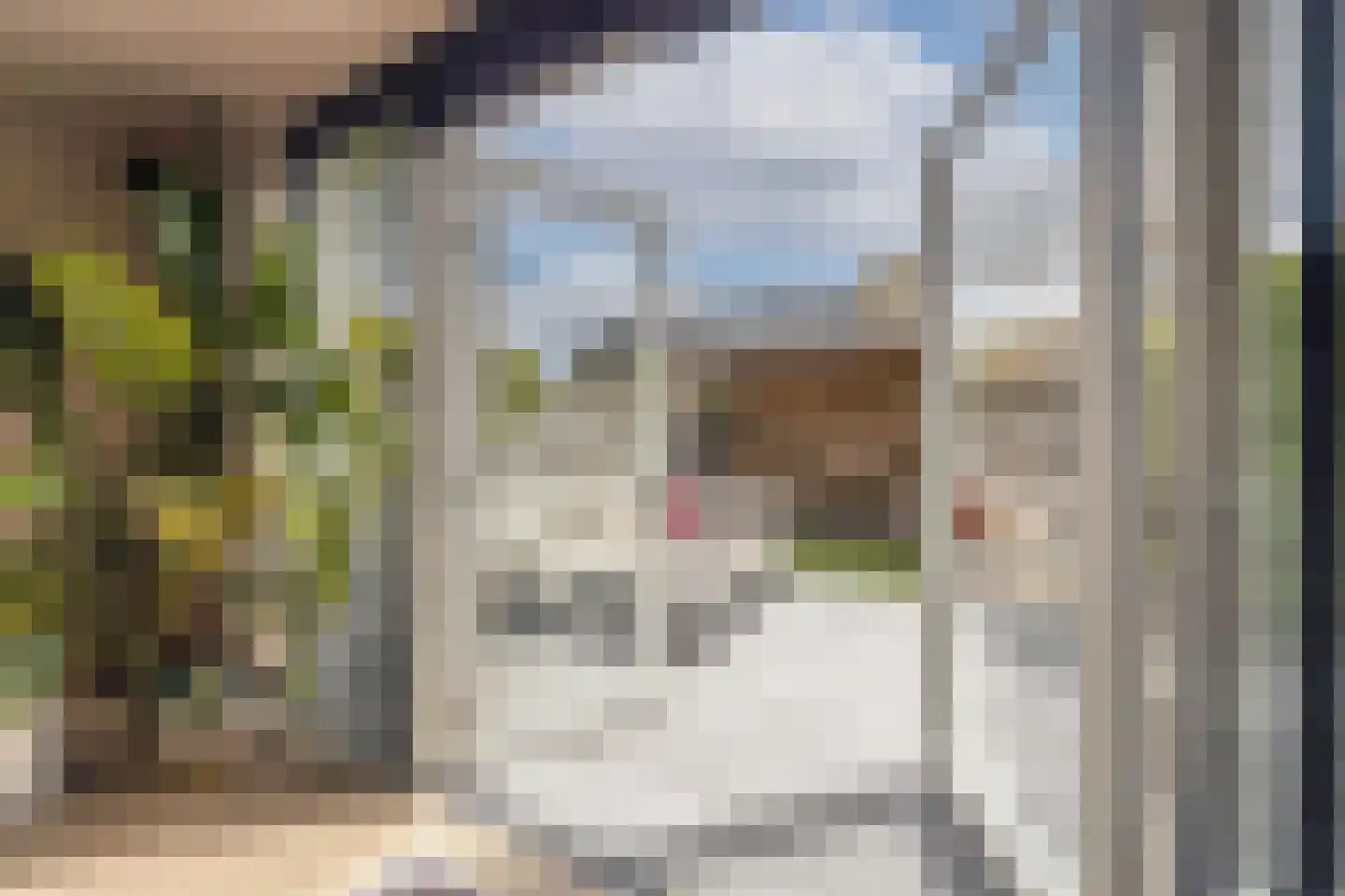 Delflandstraat 3 Tilburg thumbnail 28