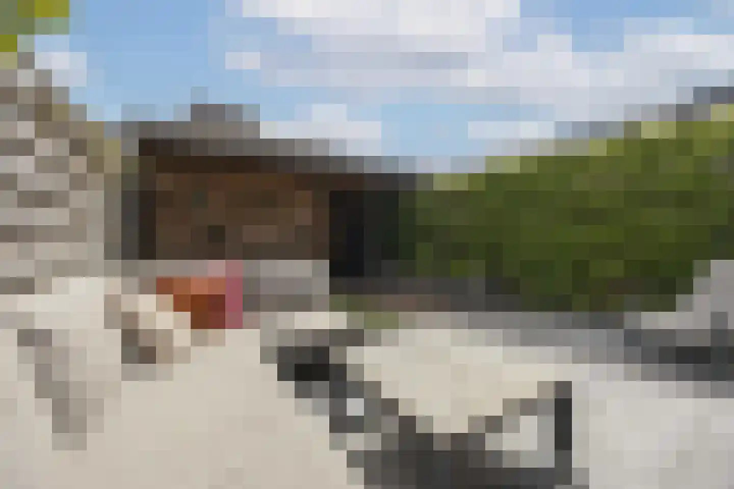 Delflandstraat 3 Tilburg thumbnail 30
