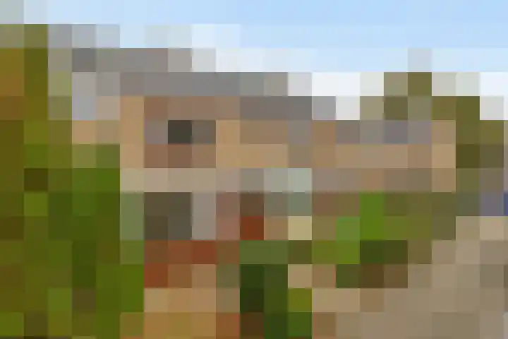 Delflandstraat 76 Nootdorp thumbnail 29