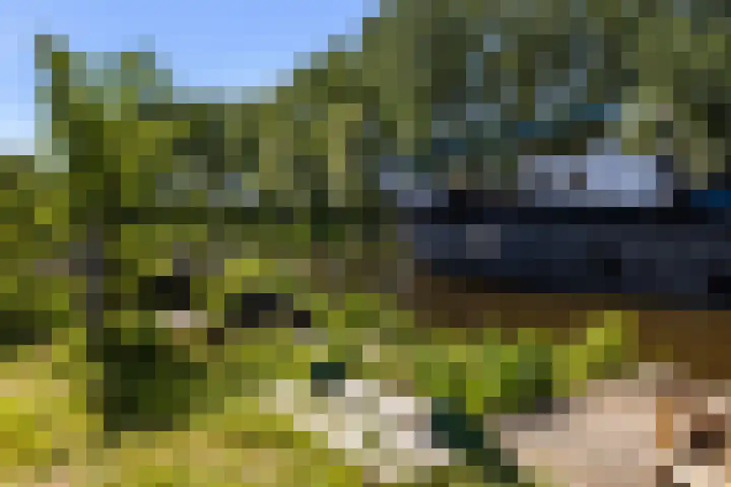 Delfshavenseweg 1 Rotterdam thumbnail 23