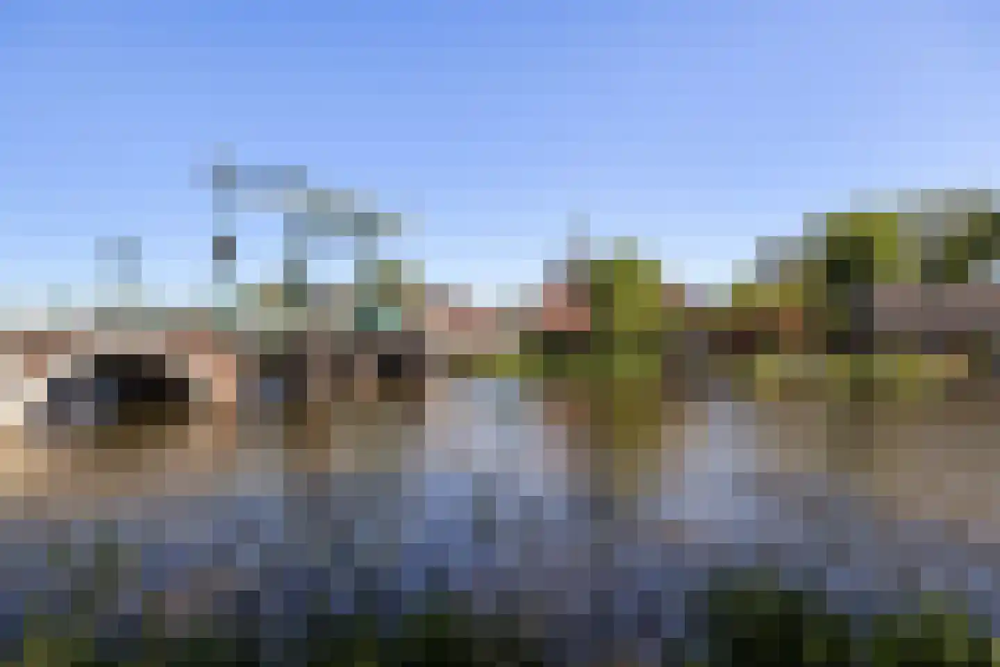 Delfshavenseweg 1 Rotterdam thumbnail 27