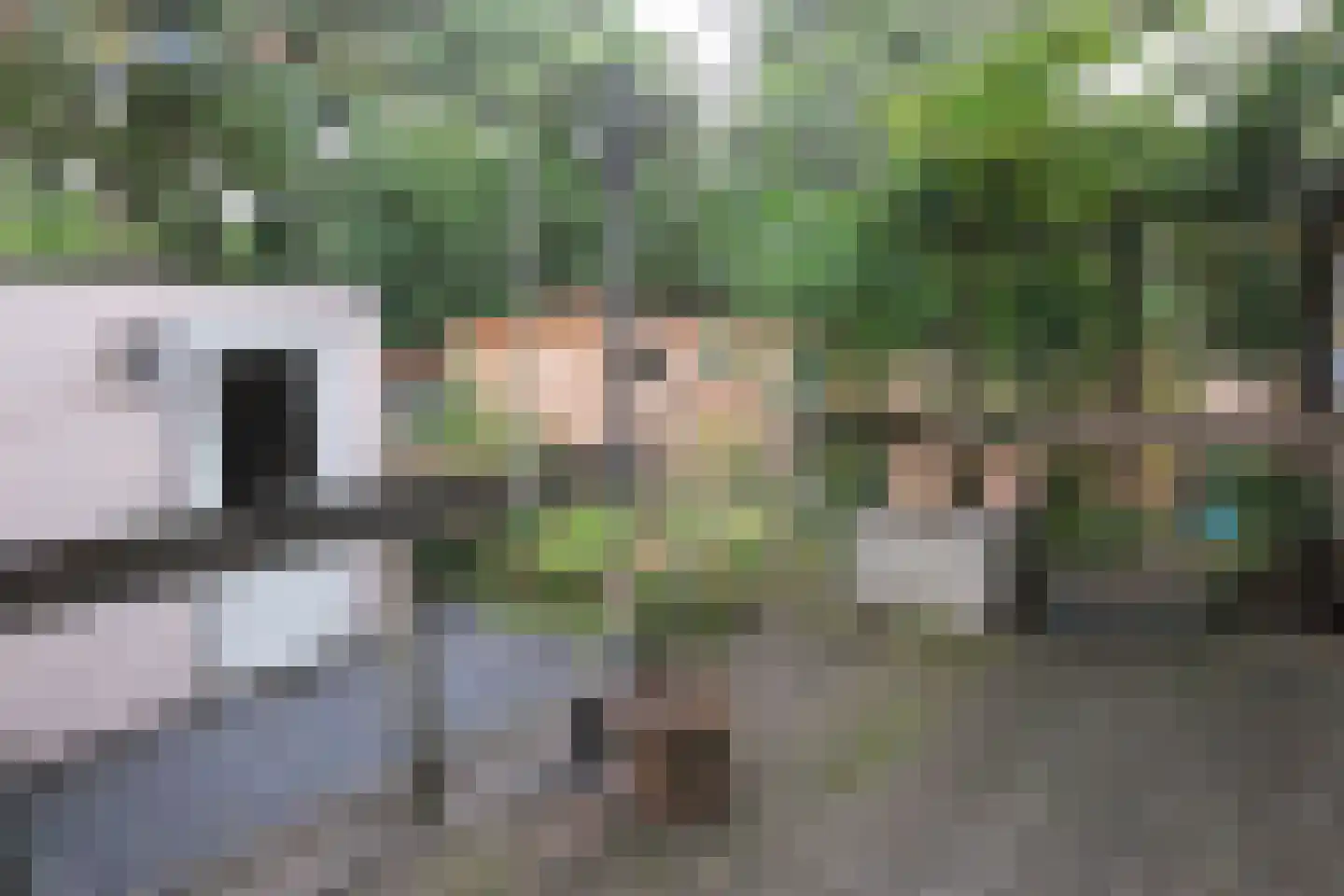 Delfshavenseweg 4 Rotterdam thumbnail 24