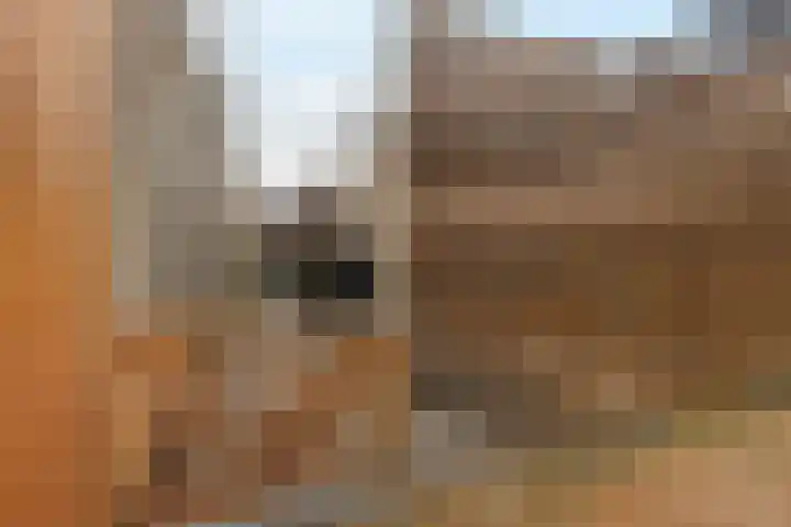 Delfstraat 35 Loppersum thumbnail 35