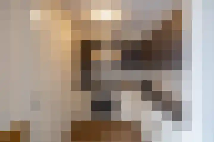 Delfstraat 37 Loppersum thumbnail 15